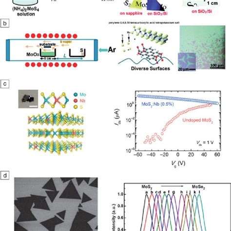 Structure Of Transition Metal Dichalcogenides Tmdcs A Three Main Download Scientific