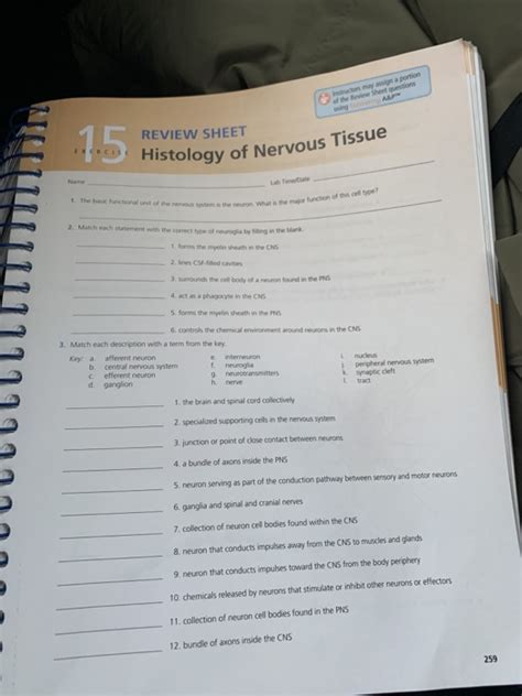 Solved Review Sheet Lb Histology Of Nervous Gy Of Nervous Chegg