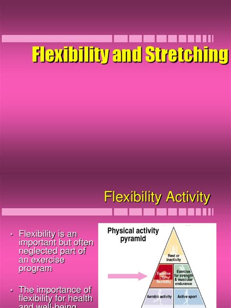 10 Flexibility And Stretching Pdf Flexibility Anatomy Physical Fitness