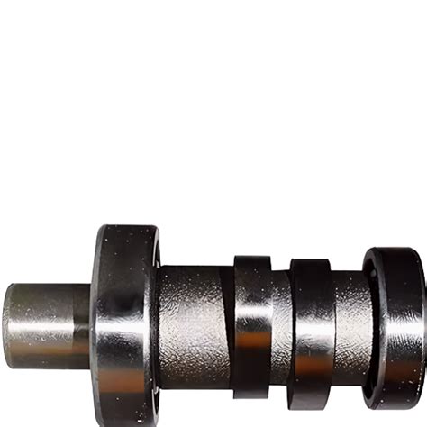 Camshafts Assembly With Bearings Compatible For Bajaj Discover Indian