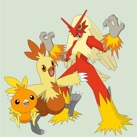 Torchic Y Su Línea Evolutiva Wiki •pokémon• En Español Amino