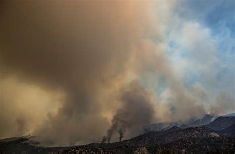 Climate Change Blamed for Half of Increased Forest Fire Danger - The New York Times