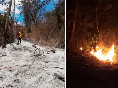 Los Incendios Forestales Afectaron M S De Mil Hect Reas En Las Yungas