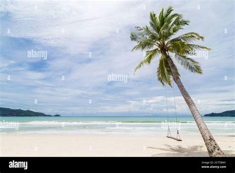 Exotic Tropical Paradise Swings Over Crystal Clear Turquoise Blue Ocean