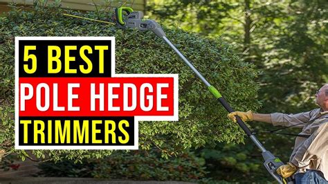 Top Best Pole Hedge Trimmers Reviews In Top Trimmer Review