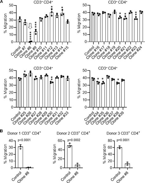 Screening Of Monoclonal Antibody Clones Against Ccl21 Mediated T Cell Download Scientific