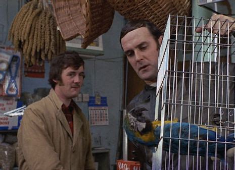 Monty Python: The true story behind the ‘Dead Parrot Sketch’ | Dangerous Minds