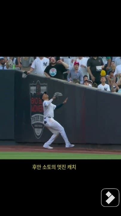 후안 소토의 멋진 캐치 메이저리그 Mlb Baseball Sports 야구 멋진 후안소토 뉴욕양키스 Youtube