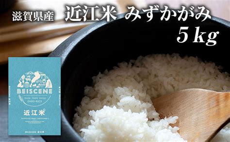 令和5年産 新米特集｜マイナビふるさと納税