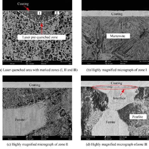 Cross Section Microstructure Of Pre Quenched Specimen Download