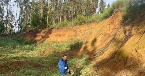 Dueña de proyecto de Tierras Raras en Penco pierde la mitad de su valor