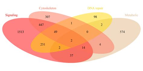 Percentage Share In Different Cancer Types Of Genes Belonging To Four Download Scientific