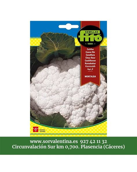 Envio De Semillas Fito Coliflor Montalba