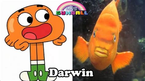 The Amazing World Of Gumball Characters In Real Life Youtube