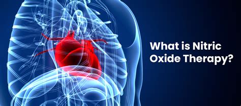 Nitric Oxide Therapy Basics And Benefits