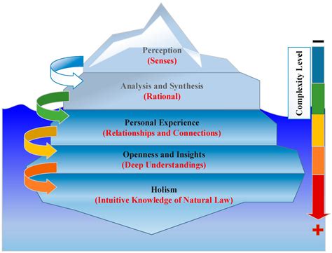 Administrative Sciences Free Full Text Holistic View Of Intuition