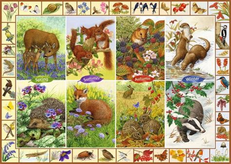 1000 PIECE JIGSAW PUZZLE - SEASONAL GARDEN BIRDS