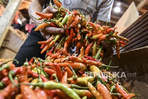 Harga Cabai Rawit Meroket Satu Kilo Tembus Rp 140 Ribu Republika Online