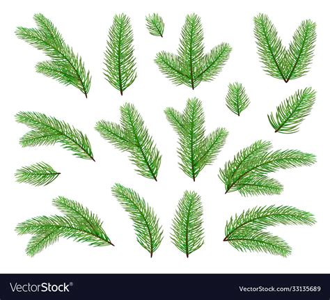 Christmas tree branches Royalty Free Vector Image