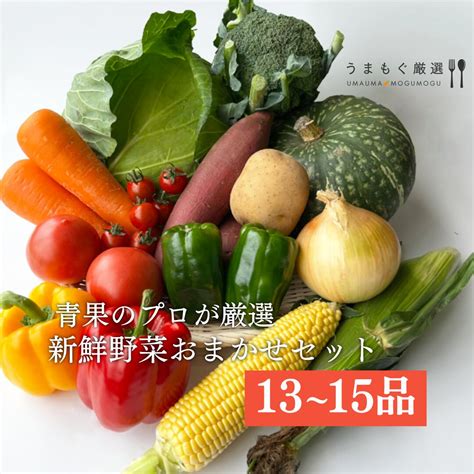 【楽天市場】新鮮野菜 旬のおまかせ13品～15品野菜セット 詰め合わせ 仕送り 季節の野菜 冷蔵便 北九州 新鮮 野菜 セット 旬 野菜 お