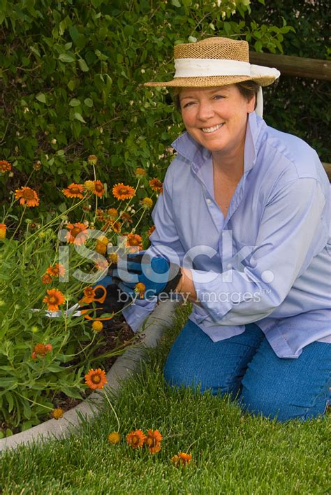 Woman Picking Flowers In Her Garden Stock Photo | Royalty-Free | FreeImages