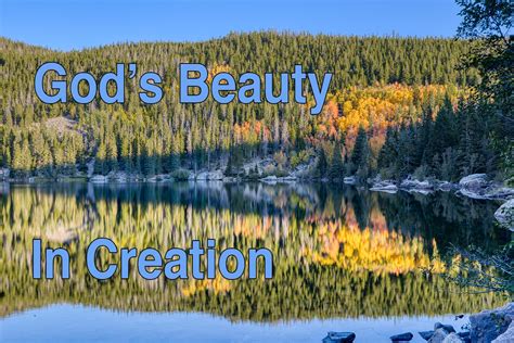 Beauty In Creation Podcast Visual Bible Verse Of The Day