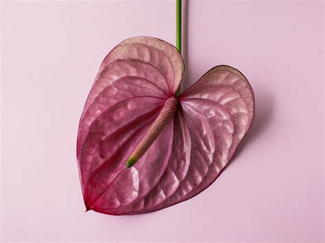 Here S How To Actually Have Satisfying Quickie Sex