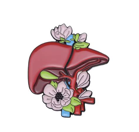 Liver Pin Simply Scrubs