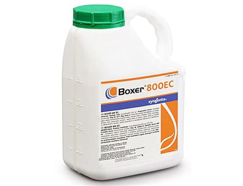 Boxer 800 EC 5L Cena Opinie Superplony Pl