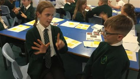 British Sign Language To Be Introduced As GCSE In England BBC News