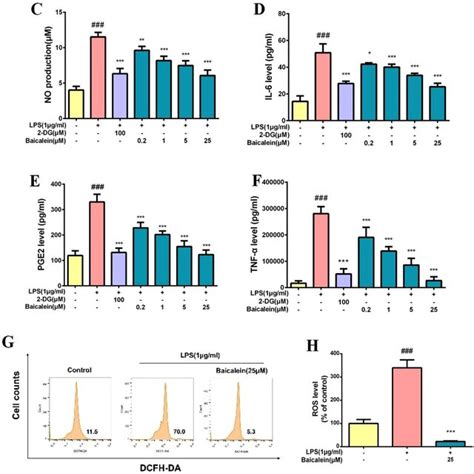 Baicalein Attenuates The Inflammatory Response Of LPS Treated BV 2