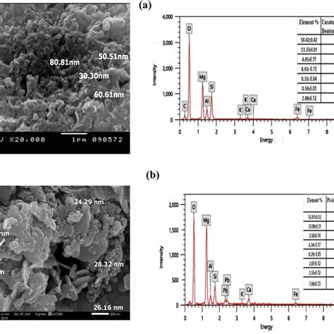 Scanning Electron Microscopy Sem Image And Energy Dispersive X Ray Download Scientific