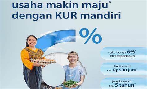 TANPA JAMINAN Flatform Hingga 100 Juta Begini Cara Pengajuan KUR