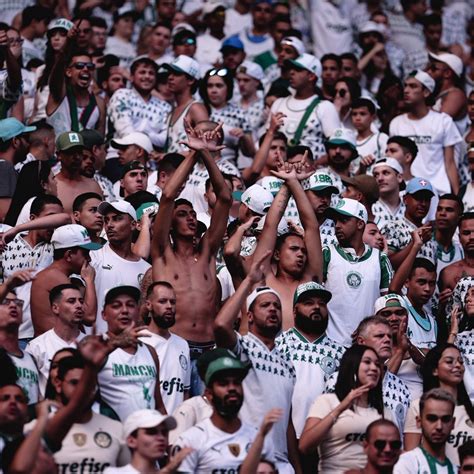 Nosso Palestra On Twitter Palmeiras Arrecadar Alimentos Para