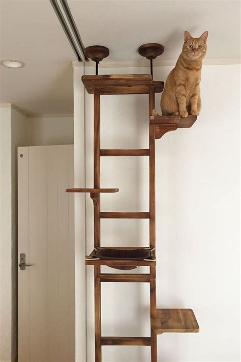 ぼくわちくわ Diy Cat Tree Cat Tree Cat Diy