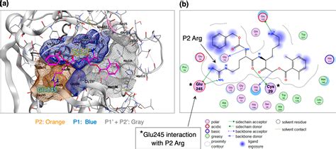 Selective Neutral Ph Inhibitor Of Cathepsin B Designed Based On