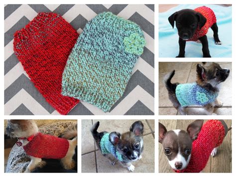 Chihuahua Sweater To Crochet – Free Patterns