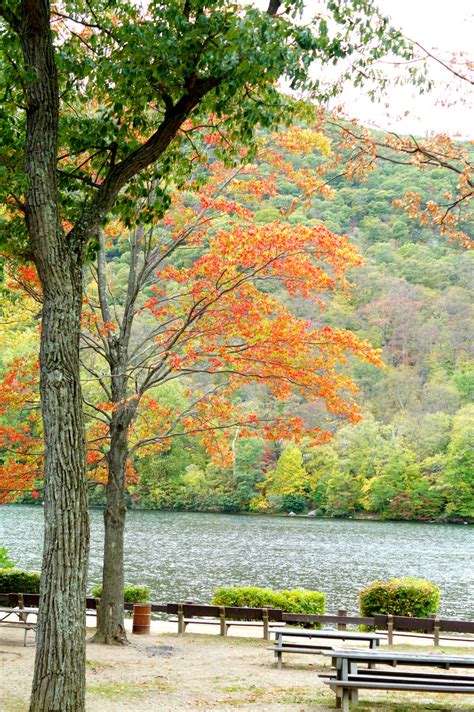 bear-mountain-fall-foliage - Closet Confections