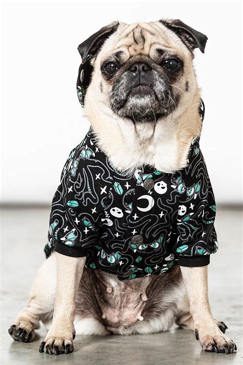 Cthulhu Pet Hoodie Pets Guide Dog Dog Clothes