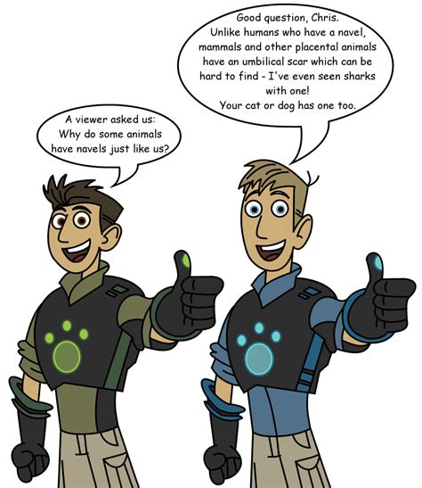 Wild Kratts Viewer Mail by dev-catscratch on DeviantArt