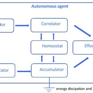 structure   autonomous system autonomous agent