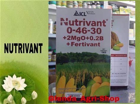 Nutrivant Foliar Fertilizer Mgo B Fertivant Kg Lazada Ph