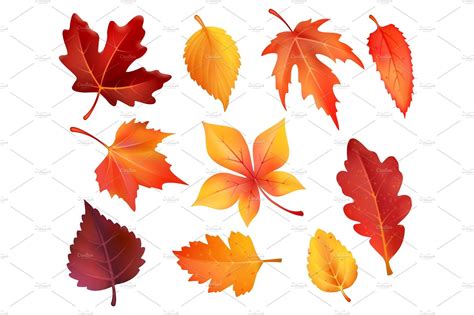 Autumn foliage leaf icons of vector falling leaves , #affiliate, #oak# ...