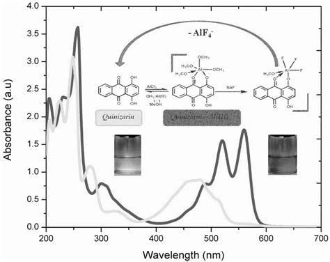 Absorbance Spectra And In Situ Reaction Scheme Of Quinizarin And