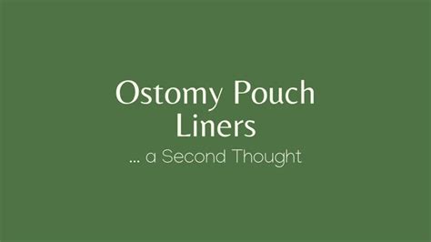 Ostomy Protector Seat Belt Cover Review Veganostomy