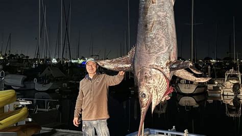 Monster Swordfish Breaks California Record