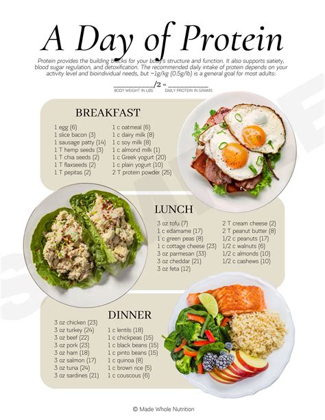 A Day Of Protein Handout — Functional Health Research Resources — Made Whole Nutrition