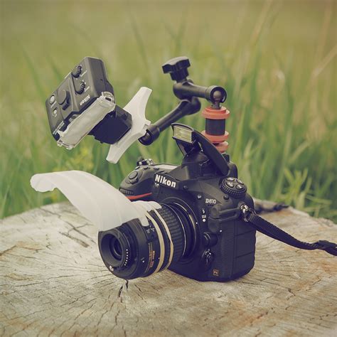 insect macro photography camera setup