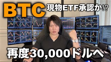 ビットコイン爆上げ！再度30000ドルへ。今後の値動きを解説。ビットコイン現物etf承認間近か？ │ 金融情報のまとめ