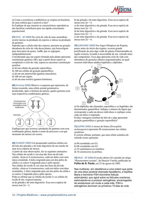 Biologia Citologia Divisao Celular Mitose Meiose Gabarito Pdf